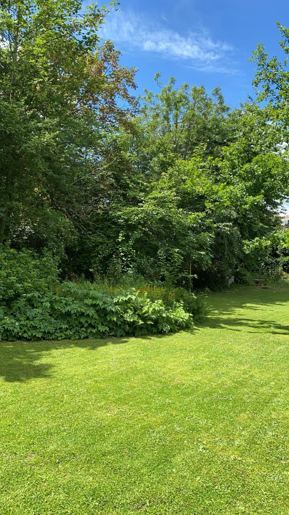 La Villa Barbieux ルーベ エクステリア 写真
