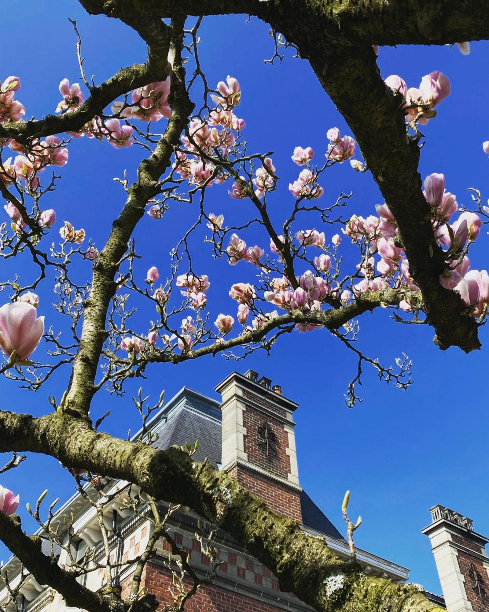 La Villa Barbieux ルーベ エクステリア 写真